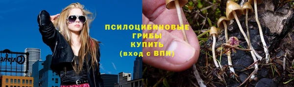 гидропоника Нязепетровск