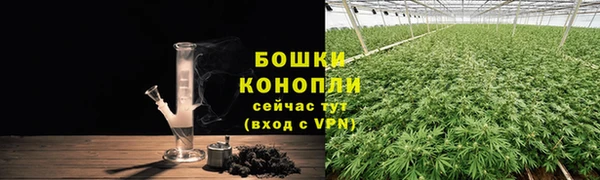 гидропоника Нязепетровск
